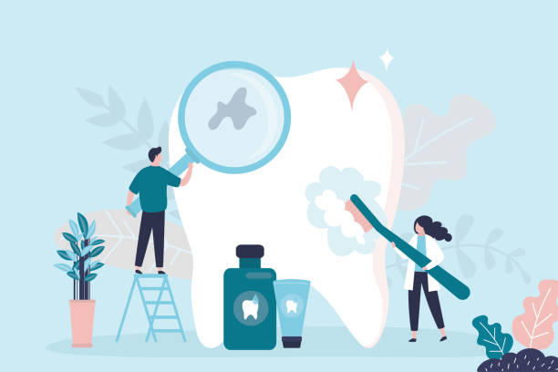 Trusted Springmont, PA Holistic Dental Care Services Experts
